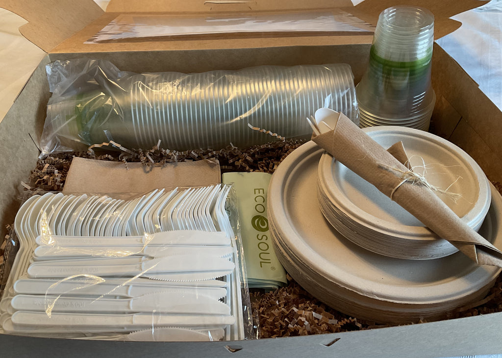 Eco-Friendly Outdoor Disposable, Compostable Party Pack 2
