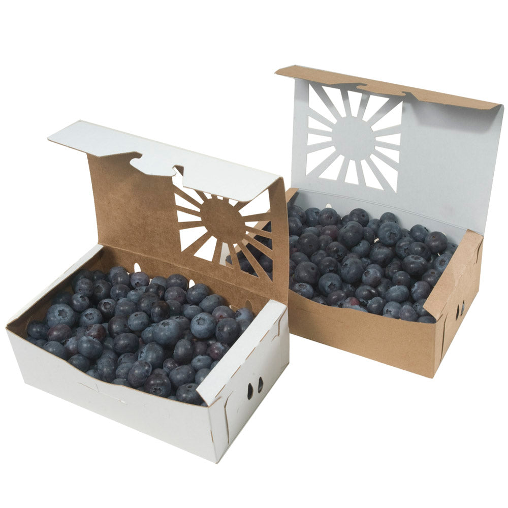Low Profile Pint Sustainable Produce Containers shown Kraft and Reversable options with blueberries