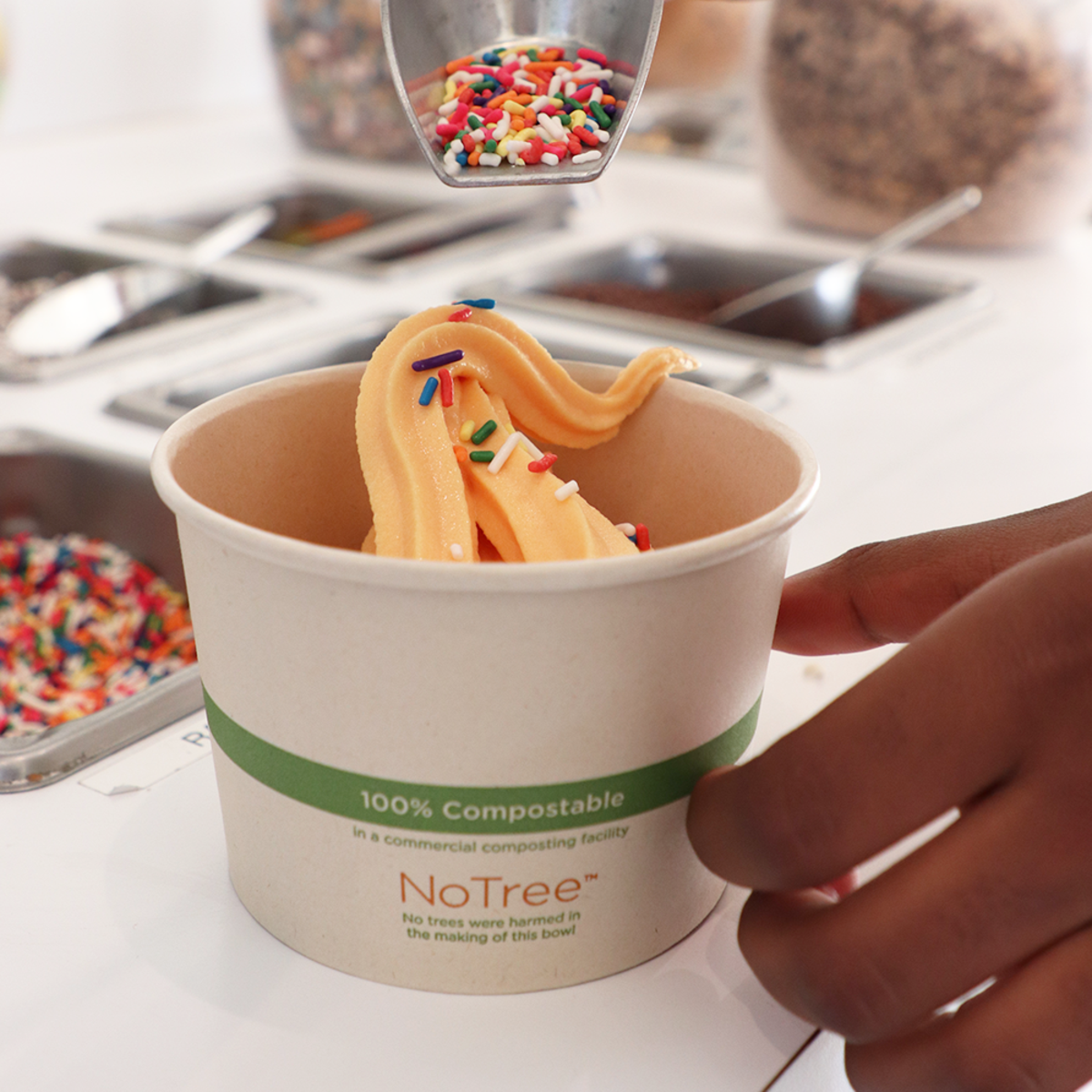 World Centric NoTree compostable 16 oz paper bowl filled with ice cream