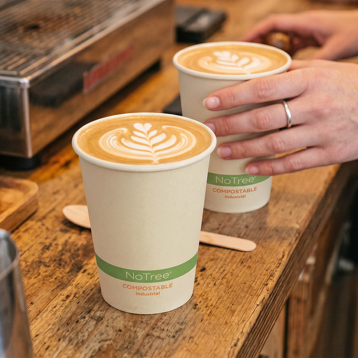World Centric 8 oz NoTree Compostable Hot Cups shown on counter