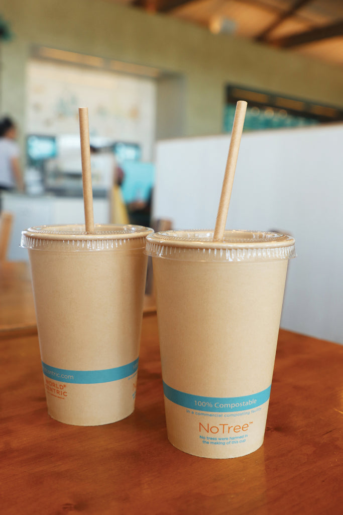 World Centric Compostable 12 oz NoTree Fiber Cold Cup, two cups shown with straw.